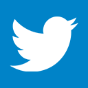 Twitter Logo Mark