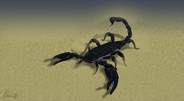 'Master of Sand' Speed Paint